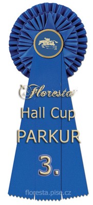 hallcup3