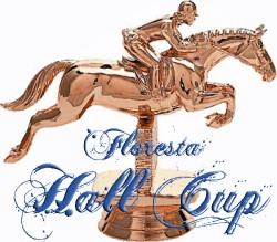 hallcup33