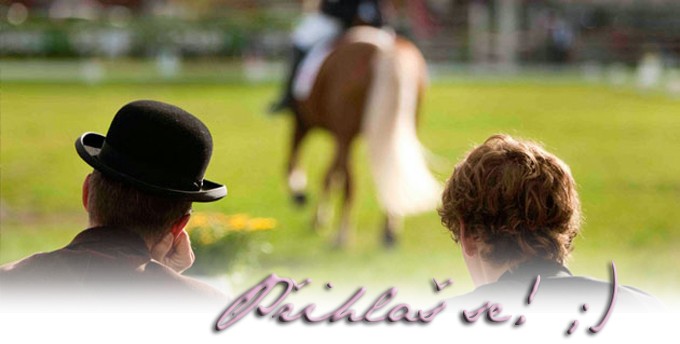 dressage kopie