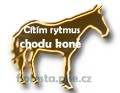 zlat kopie