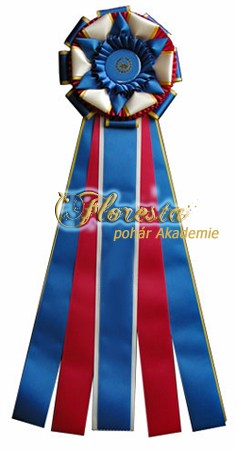ribbon_signature kopie