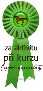 aktivita