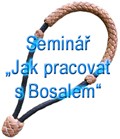 bosal sem