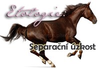 sepa