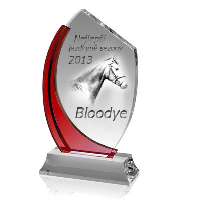 Bloodye