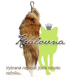 královna