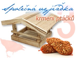 vispt