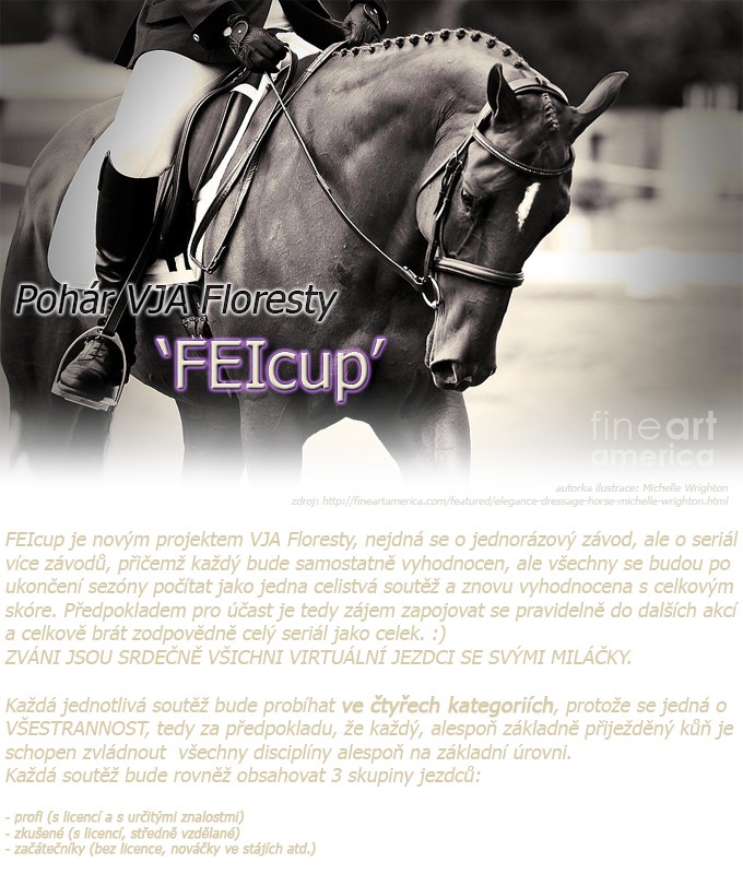 feicup