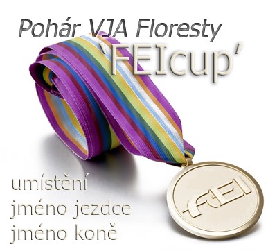 cenafeicup